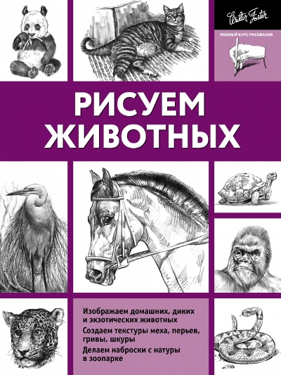 13862.jpg