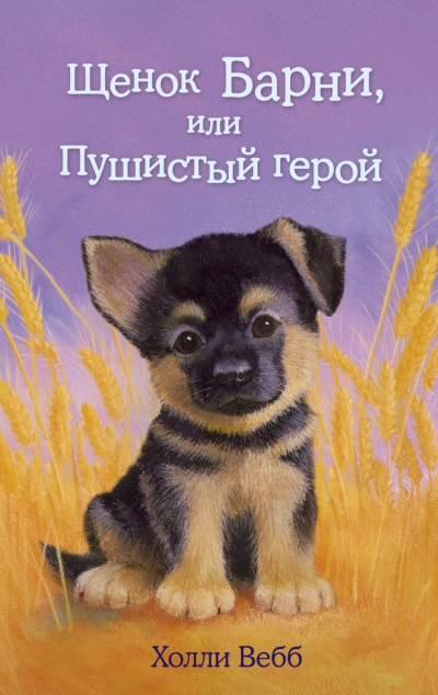 49602.jpg